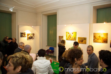 Mostra Animali D'Africa Di Massimo Basso &Raquo; Https://Www.massimobasso.com/Serata-Fotografie-Massimo-Basso/Mostra-Animali-Dafrica-2/