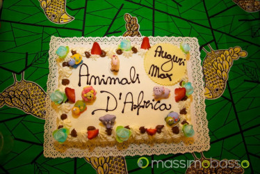 Mostra Animali D'Africa Di Massimo Basso &Raquo; Https://Www.massimobasso.com/Serata-Fotografie-Massimo-Basso/Mostra-Animali-Dafrica-2/