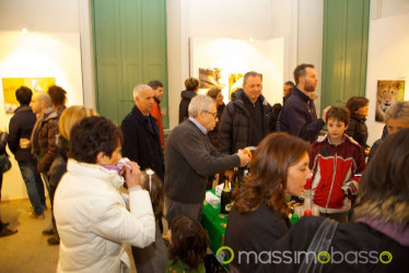 Mostra Animali D'Africa Di Massimo Basso &Raquo; Https://Www.massimobasso.com/Serata-Fotografie-Massimo-Basso/Mostra-Animali-Dafrica-2/