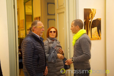 Mostra Animali D'Africa Di Massimo Basso &Raquo; Https://Www.massimobasso.com/Serata-Fotografie-Massimo-Basso/Mostra-Animali-Dafrica-2/