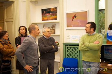 Mostra Animali D'Africa Di Massimo Basso &Raquo; Https://Www.massimobasso.com/Serata-Fotografie-Massimo-Basso/Mostra-Animali-Dafrica-2/