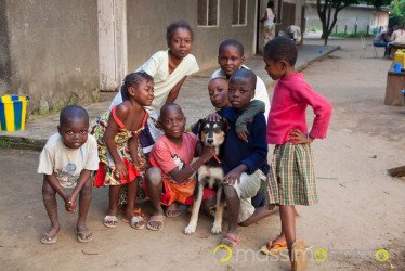 Pediatria Di Kimbondo: Racconti Ed Esperienze &Raquo; Https://Www.massimobasso.com/Pediatria-Kimbondo/