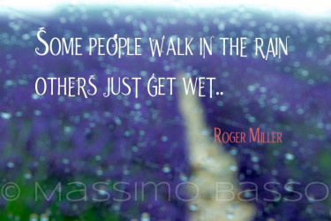 Lavanda E Girasoli In Provenza &Raquo; Https://Www.massimobasso.com/Lavanda-E-Girasoli-Della-Provenza/