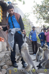 I Templi Di Girnar Hill: Salire 10.000 Scalini &Raquo; Https://Www.massimobasso.com/Templi-Di-Girnar-Hill/