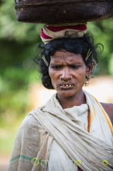 Orissa - Odisha Incontro Con La Tribù Dongria Kondh &Raquo; Https://Www.massimobasso.com/Orissa-Odisha-Tribu-Dongria-Kondh/