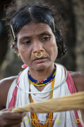 Orissa - Odisha Incontro Con La Tribù Dongria Kondh &Raquo; Https://Www.massimobasso.com/Orissa-Odisha-Tribu-Dongria-Kondh/