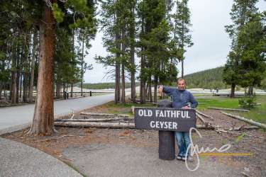 Old Faithful