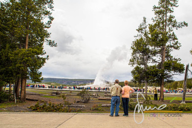 Old Faithful