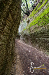 Via Cava Etrusca Nei Pressi Della Necropoli A Sovana