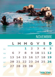 Novembre
