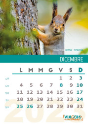 Dicembre