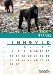 Febbraio