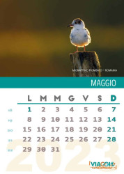 Maggio