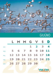 Giugno