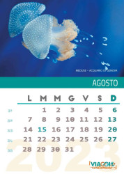Agosto