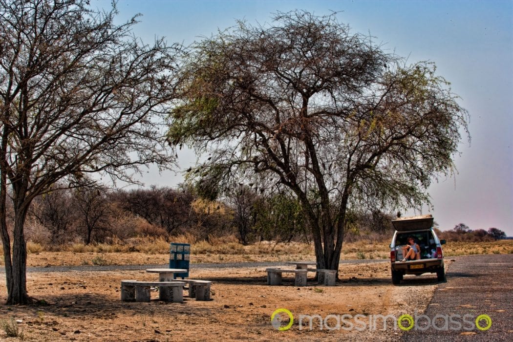 autogrill africano