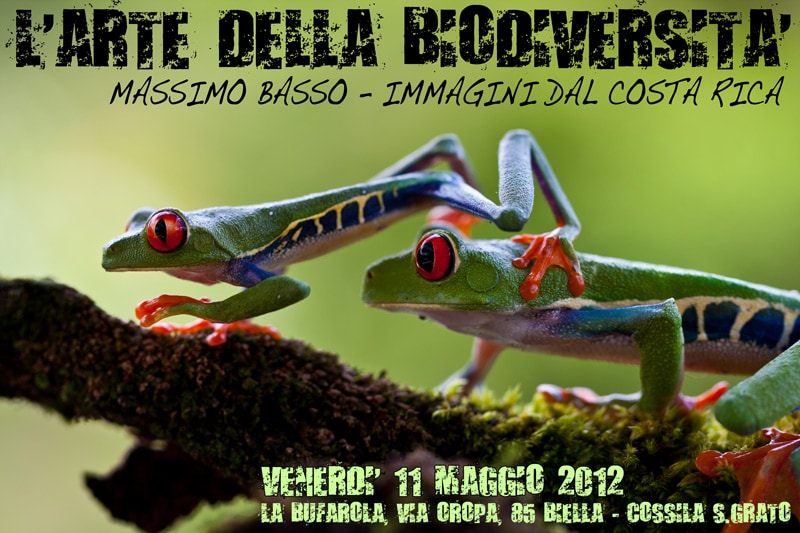 Eventi dal 2011 al 2013 » https://www.massimobasso.com/eventi-dal-2011-al-2013/