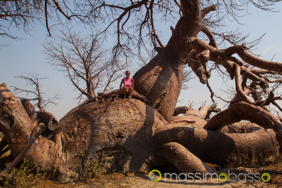 Nxai Pan Makgadikgadi