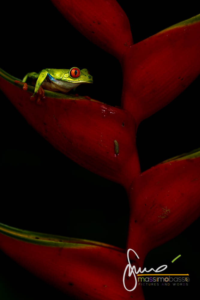 Oasis Photo Contest 2013