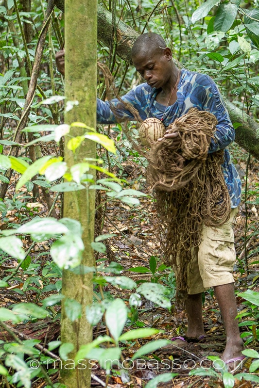 Massimobasso.com Pigmei Ba'aka Dzanga Sangha-15