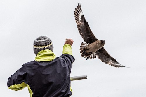 Informazioni Su Di Me &Raquo; Https://Www.massimobasso.com/About-Me/