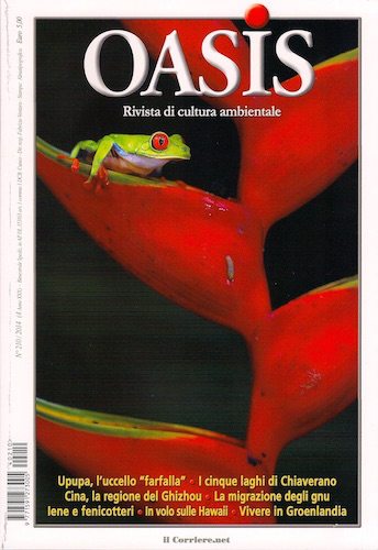 Informazioni Su Di Me &Raquo; Https://Www.massimobasso.com/About-Me/