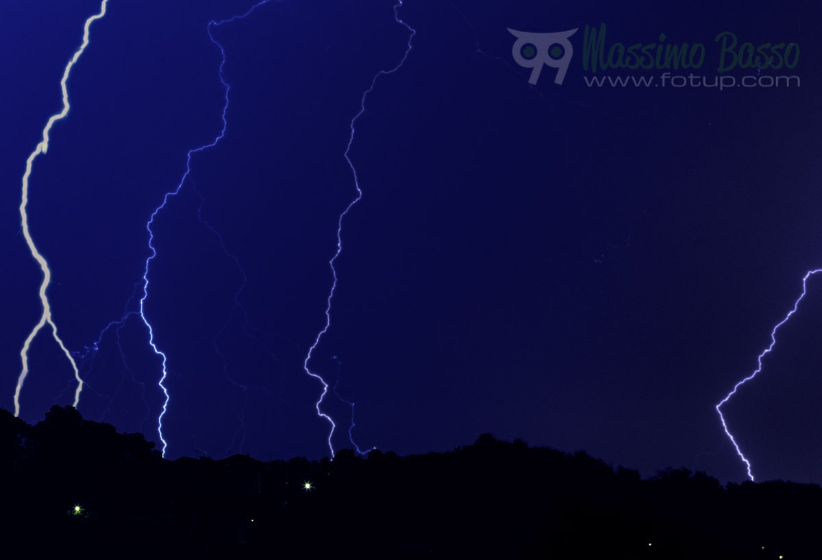 Massimo-Basso-fotup.com-99wild.com-31