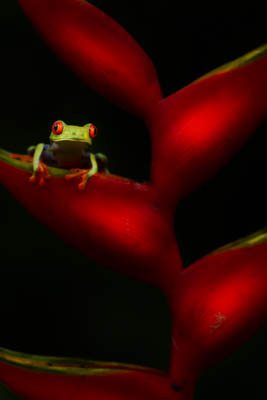 Medaglia al concorso Life in Colour Hipa.ae &raquo; https://www.massimobasso.com/medaglia-al-concorso-life-in-colour-hipa-ae/