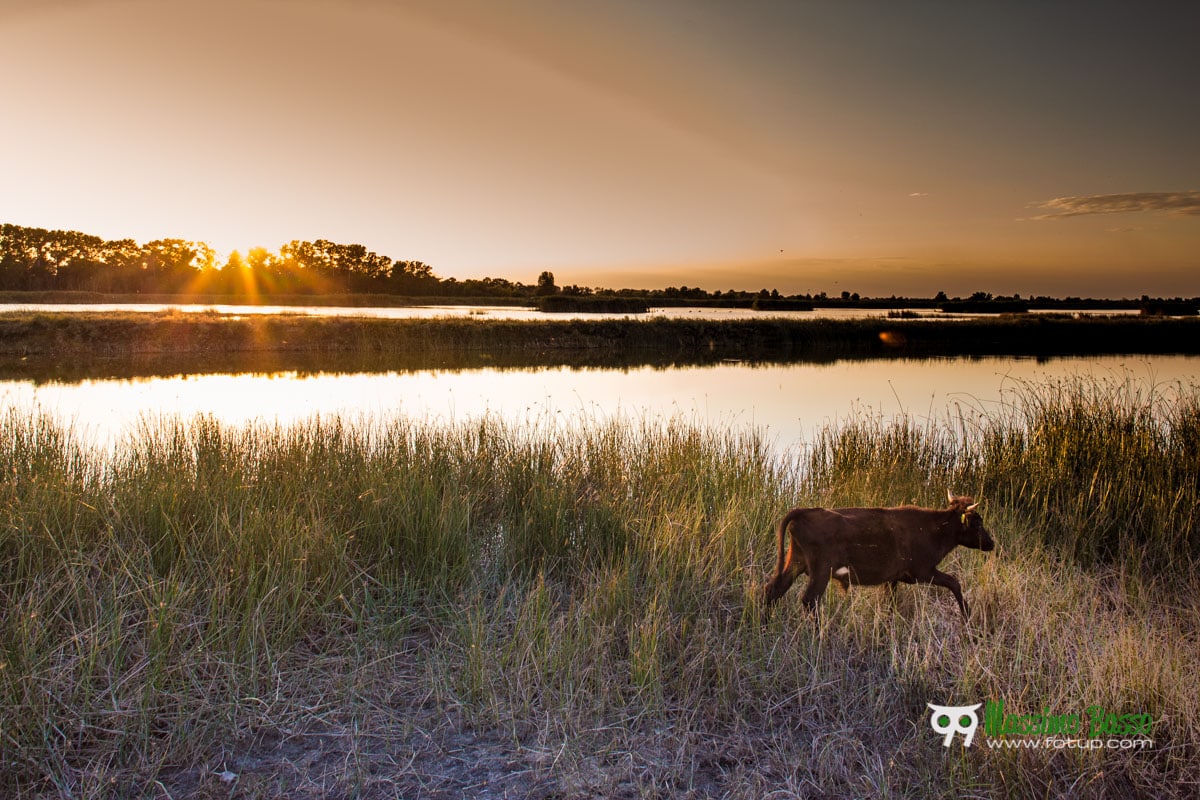 Panorami dal delta del Danubio - massimobasso.com