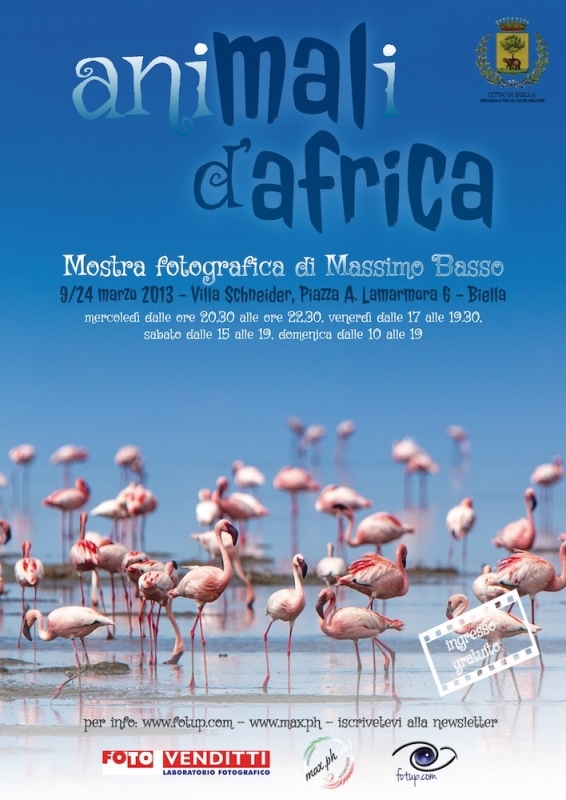 mostra fotografica animali d'africa