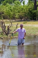 Guado all'interno della Riserva Moremi