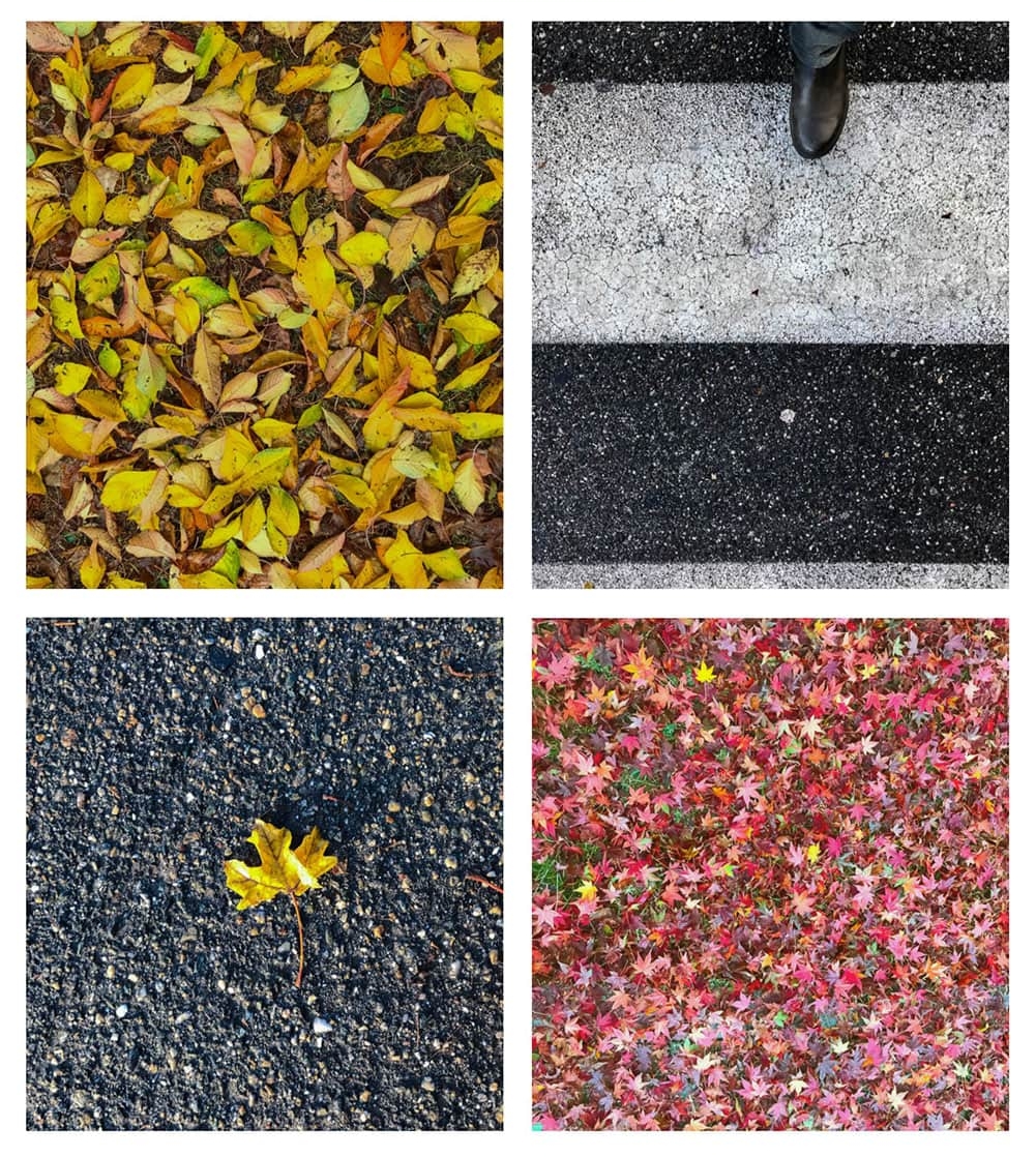 Autunno metropolitano a Torino