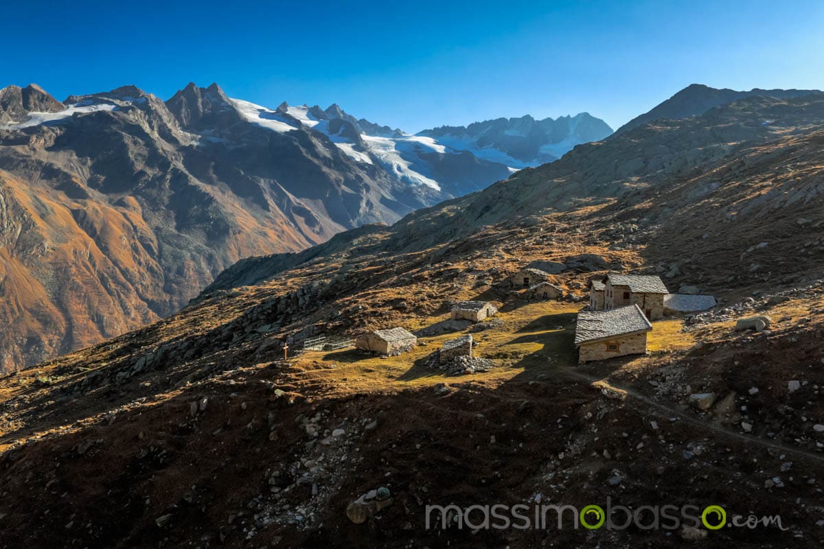 Stambecchi del parco Nazionale del gran paradiso
