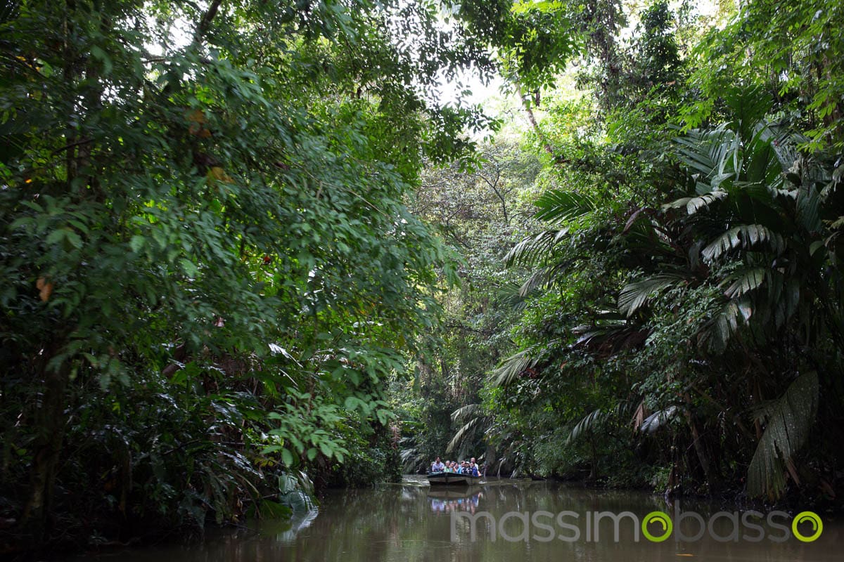 gita in barca nel parco Tortuguero