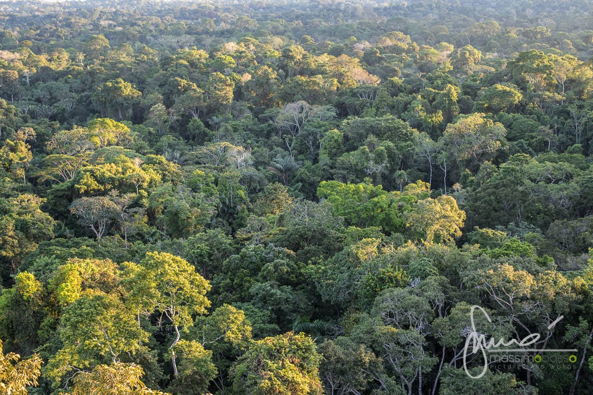 Parco Nazionale Yasuni Amazzonia Ecuador