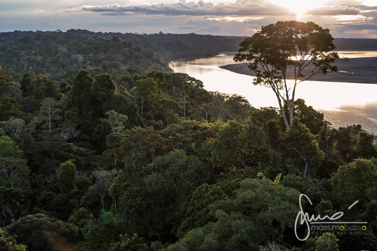 Parco Nazionale Yasuni Amazzonia Ecuador