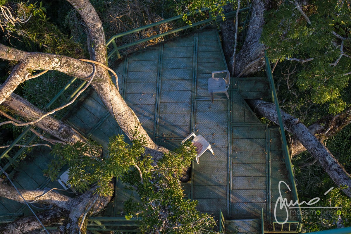 Parco Nazionale Yasuni Amazzonia Ecuador