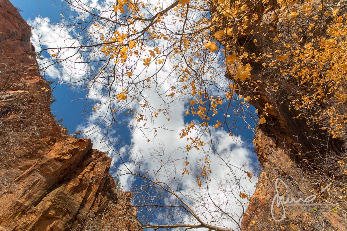 Zion Canyon National Park USA