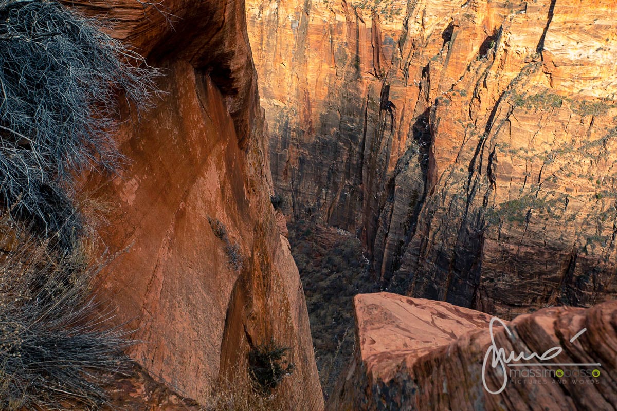 Parco Nazionale Zion National Park Utah