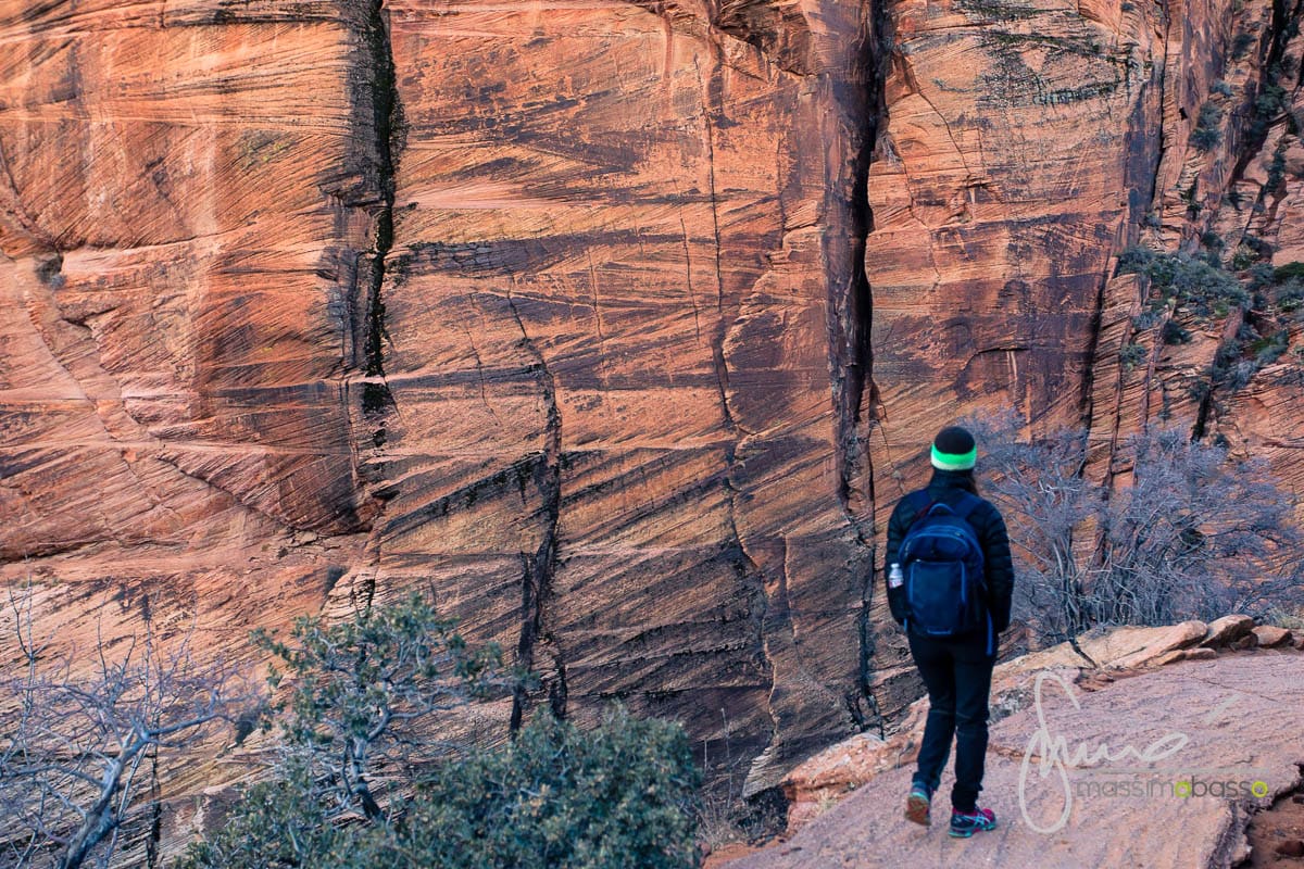 Parco Nazionale Zion National Park Utah