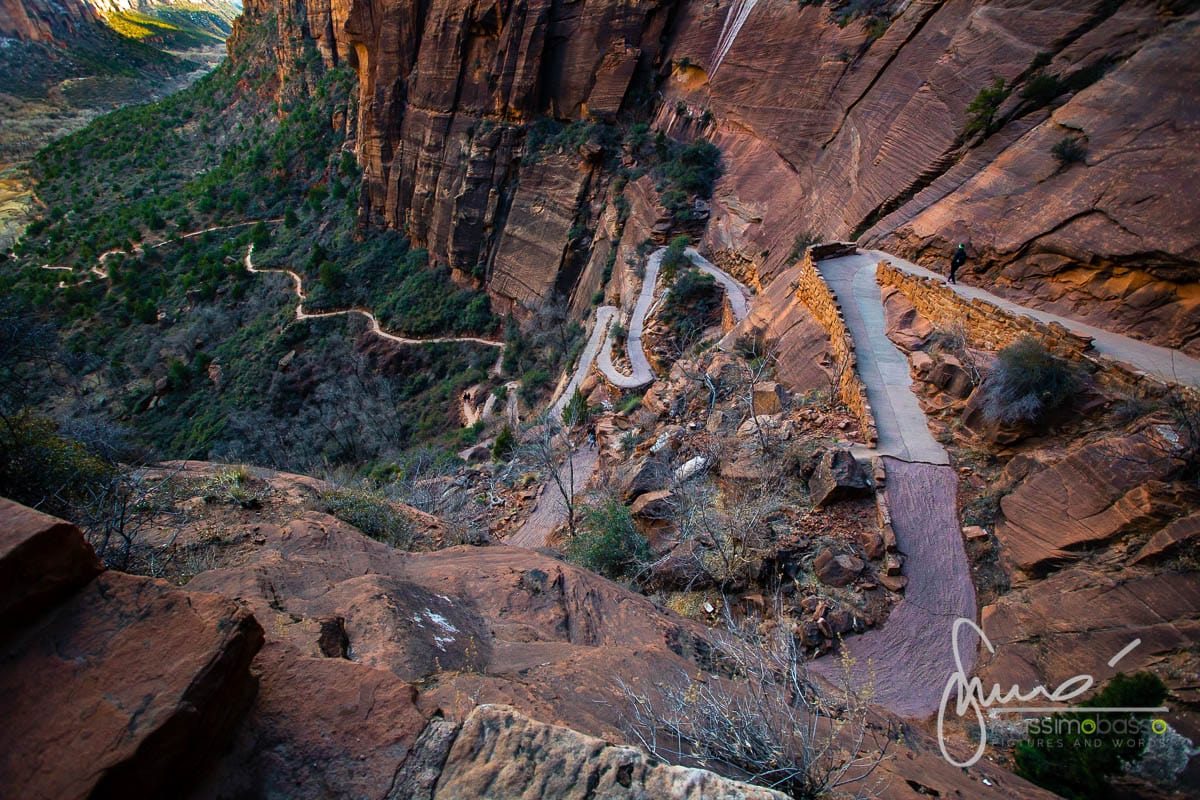 Parco Nazionale Zion National Park Utah
