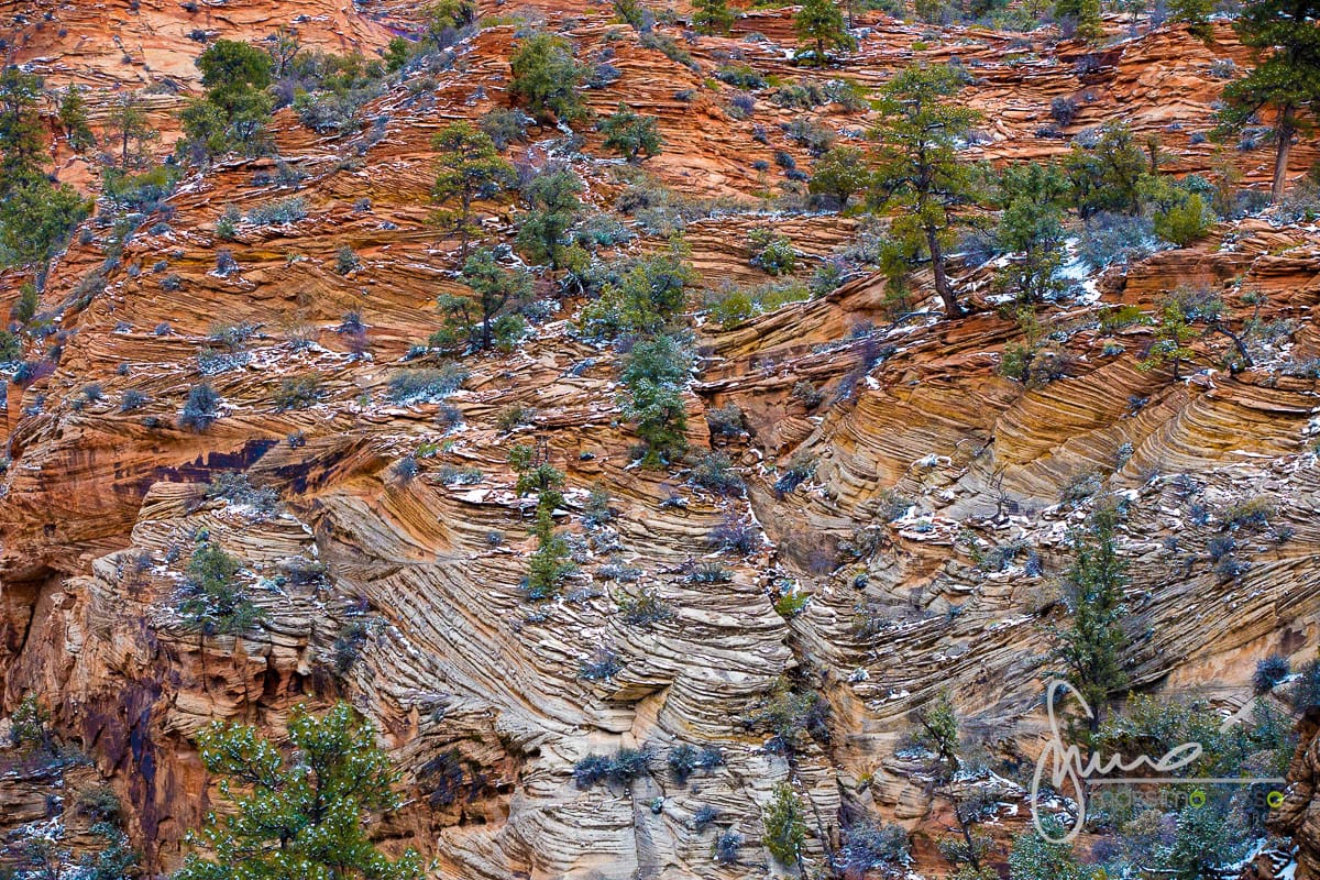 Parco Nazionale Zion National Park Utah