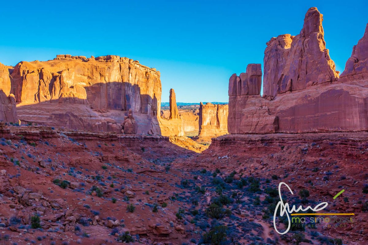 Park Avenue e Courthouse Towers