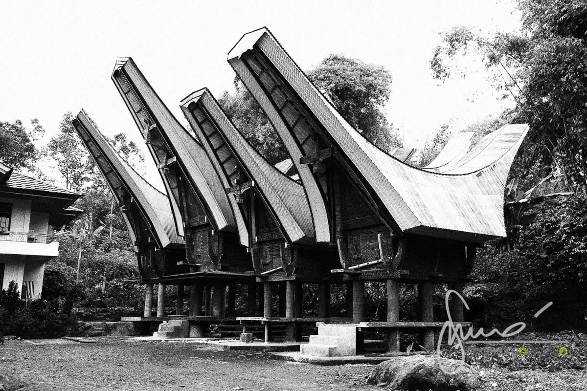 le case Tongkonan a Toraja