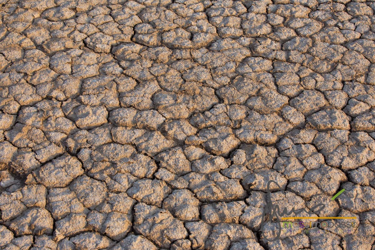 Il Deserto Del Kutch E Le Saline Del Gujarat
