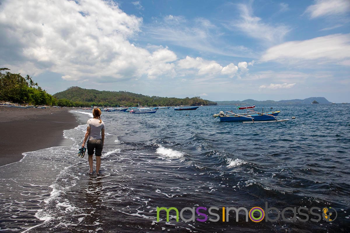 Riserva Tangkoko Macaco nero tarsio spettro