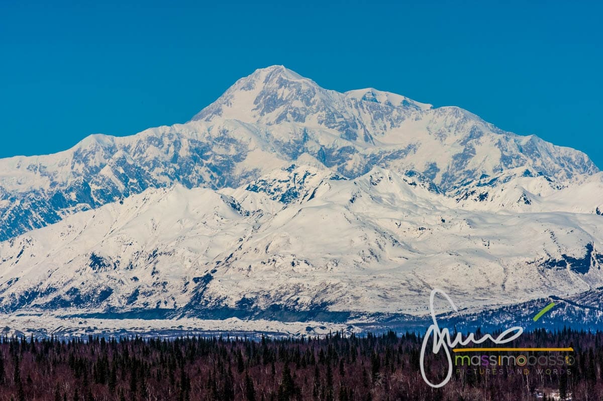 Immagini dall'articolo Alaska in primavera un itinerario di viaggio insolito
