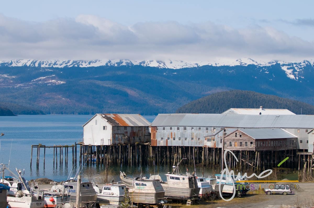 Immagini dall'articolo Alaska in primavera un itinerario di viaggio insolito