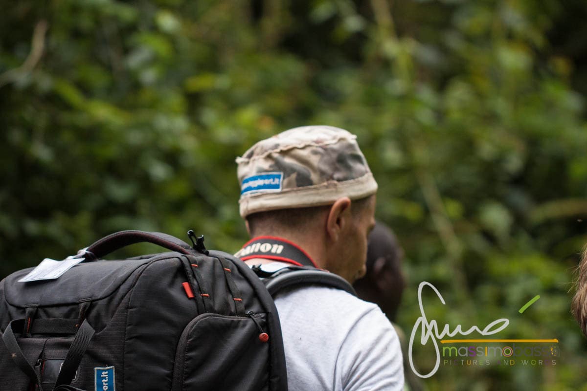 Un momento del trekking nella foresta in Uganda