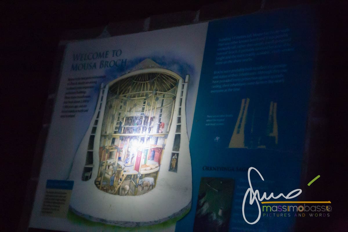 Lontre e pulcinella di mare alle Isole Shetland in giugno